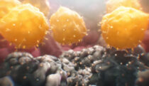 CAR T-cell therapy animation